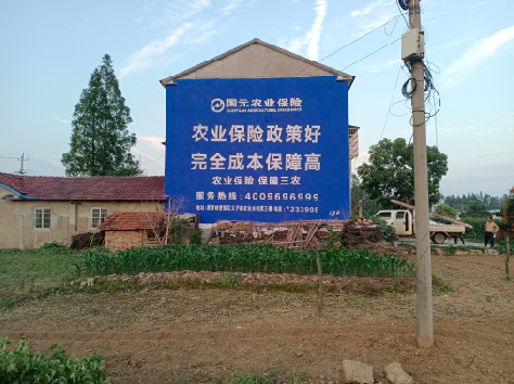  黎平墙体广告的优劣势你知道吗？