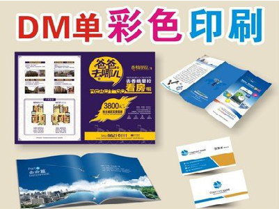  黎平单页印刷，色彩搭配简单。